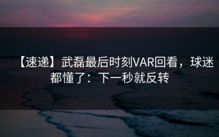 【速递】武磊最后时刻VAR回看，球迷都懂了：下一秒就反转