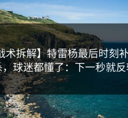 【战术拆解】特雷杨最后时刻补时绝杀，球迷都懂了：下一秒就反转
