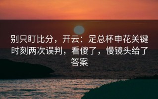 别只盯比分，开云：足总杯申花关键时刻两次误判，看傻了，慢镜头给了答案