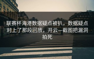 联赛杯海港数据疑点被扒，数据疑点对上了那段回放，开云—截图把漏洞拍死