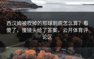 西汉姆被吹掉的那球到底怎么算？看傻了，慢镜头给了答案，云开体育评论区
