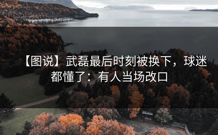 【图说】武磊最后时刻被换下，球迷都懂了：有人当场改口-第1张图片-开云体育中国体育官网 - 联赛资讯
