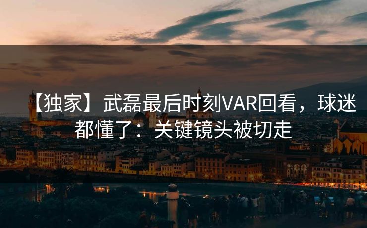 【独家】武磊最后时刻VAR回看，球迷都懂了：关键镜头被切走-第1张图片-开云体育中国体育官网 - 联赛资讯
