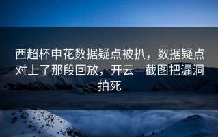 西超杯申花数据疑点被扒，数据疑点对上了那段回放，开云—截图把漏洞拍死