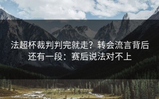 法超杯裁判判完就走？转会流言背后还有一段：赛后说法对不上