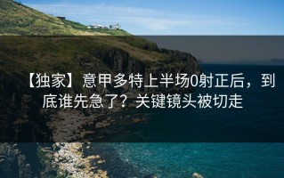 【独家】意甲多特上半场0射正后，到底谁先急了？关键镜头被切走