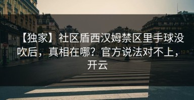 【独家】社区盾西汉姆禁区里手球没吹后，真相在哪？官方说法对不上，开云