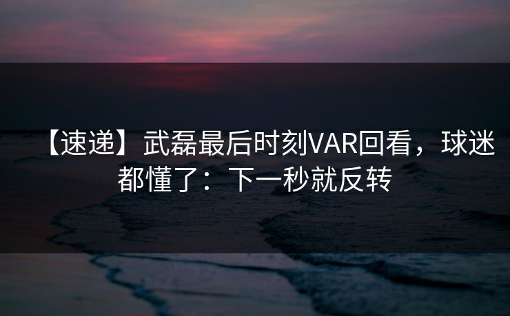 【速递】武磊最后时刻VAR回看，球迷都懂了：下一秒就反转